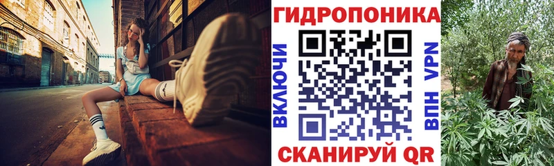 Купить где  Дубовка  Бошки марихуана план 